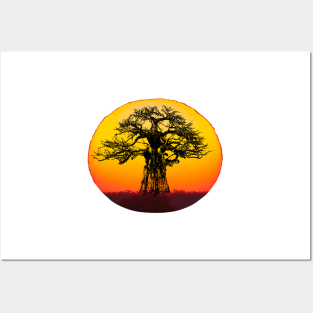 Baobab Tree at Sunset for Africa Fans Posters and Art